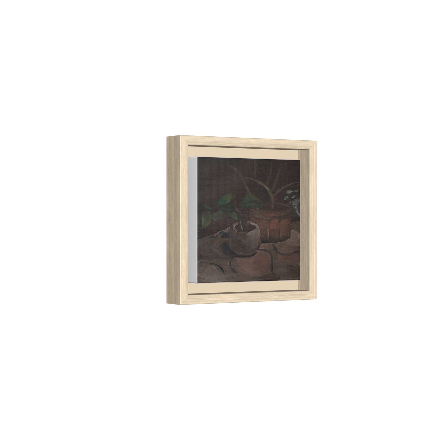 Potted 6" x 6"