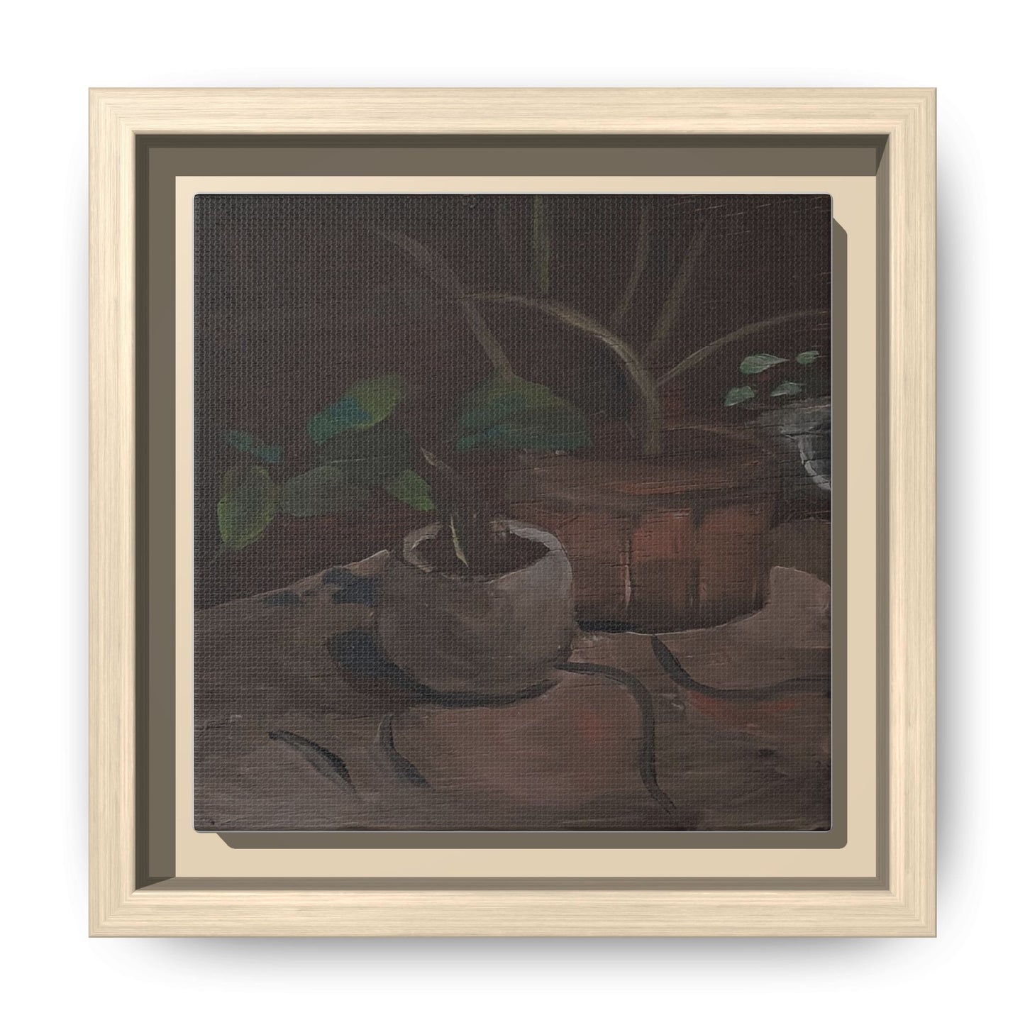 Potted 6" x 6"
