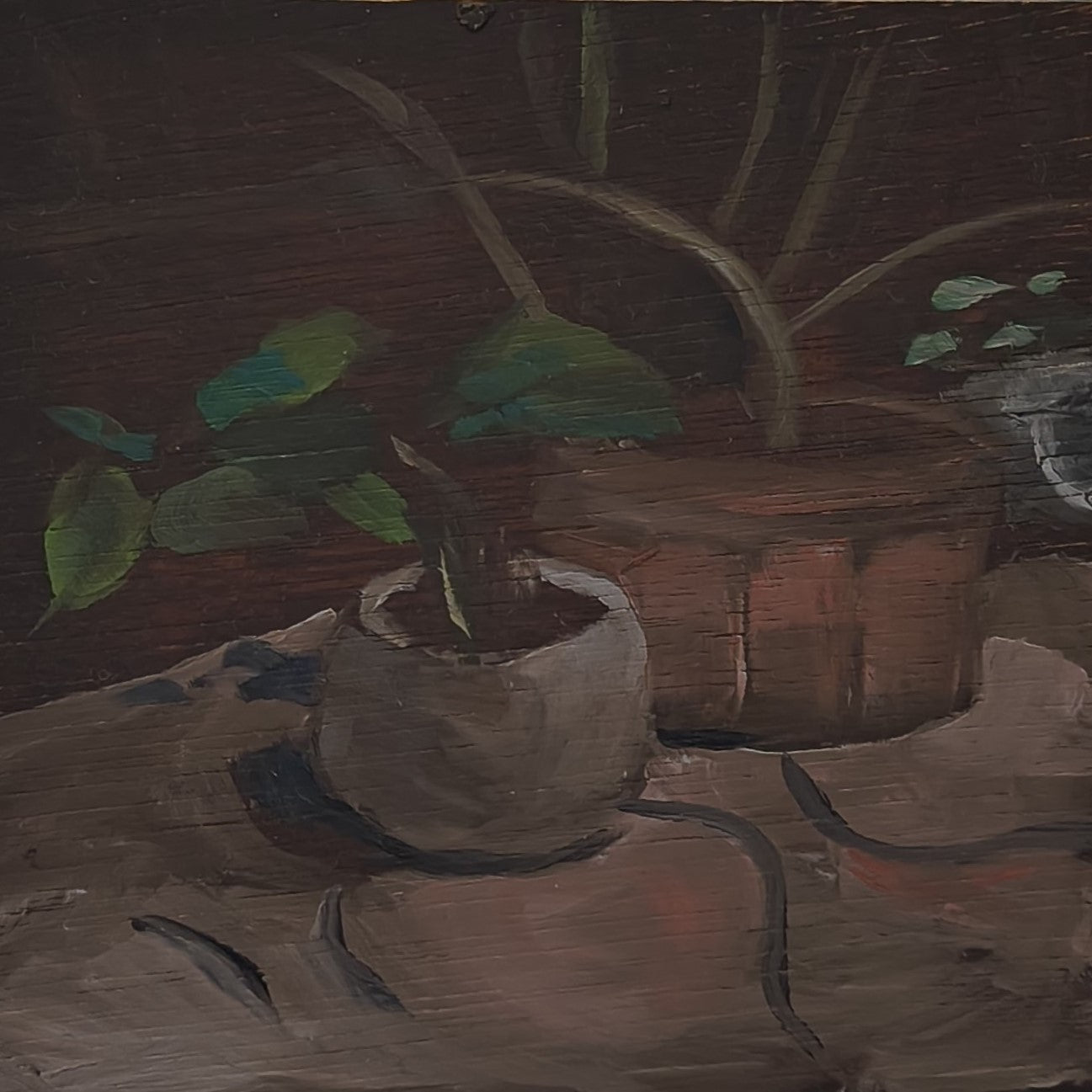 Potted